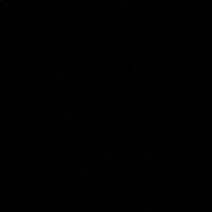 Meet your Posher, Jerry